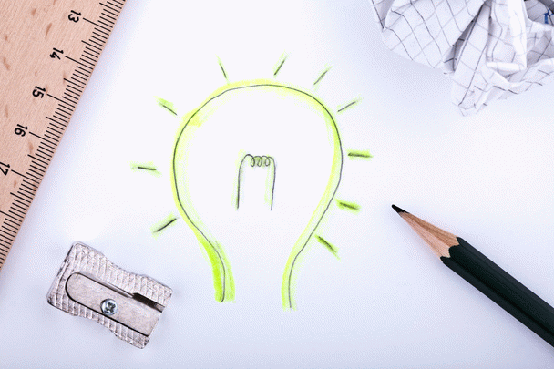 ۱۸ نکته جالب درباره گربه وان: شناگرِ کمیابِ ایران